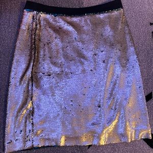 Sequin Skirt